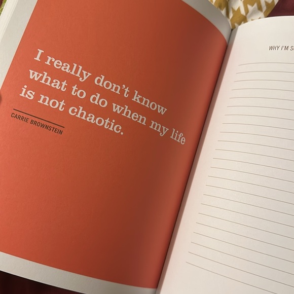 I’m So Freaking Freaked Out Journal by Knock Knock - Picture 3 of 3